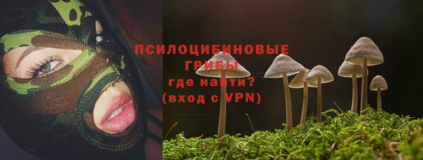 стафф Кинешма