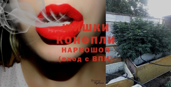 кокс Козловка