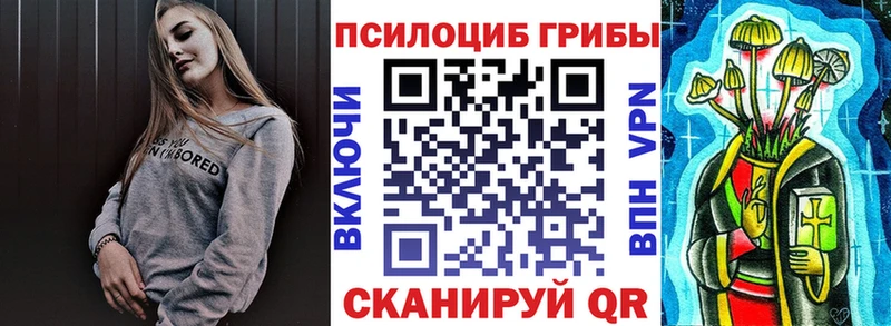 Галлюциногенные грибы Psilocybine cubensis  Купить где  Байкальск 